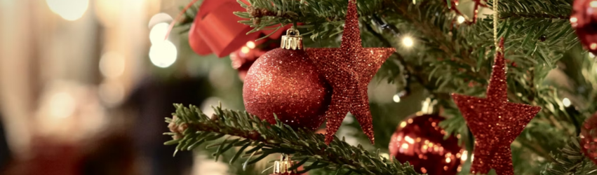 SBC Training releases Christmas edition of Newsletter!