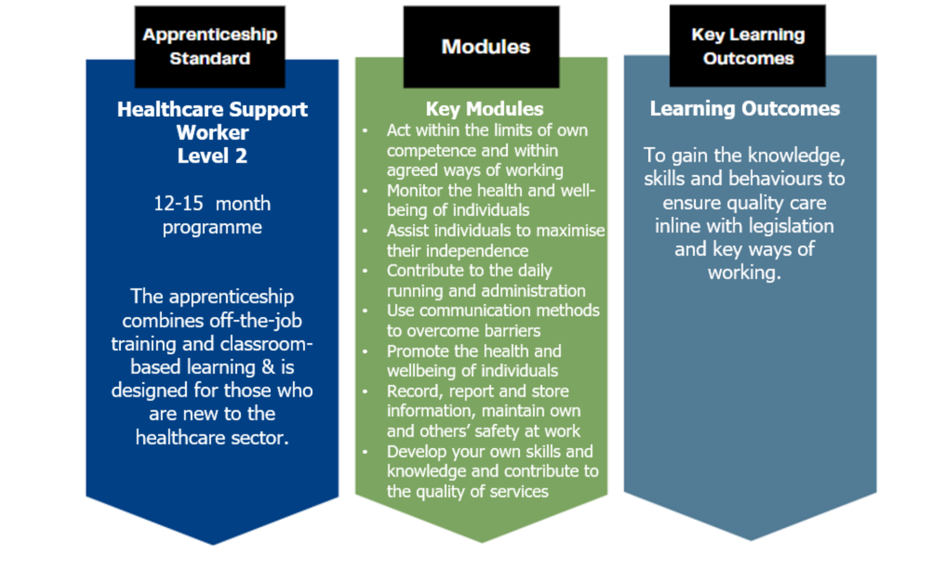 The apprenticeship standard, modules and key learning outcomes for Healthcare Support Worker Apprentices