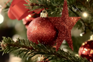 SBC Training releases Christmas edition of Newsletter!